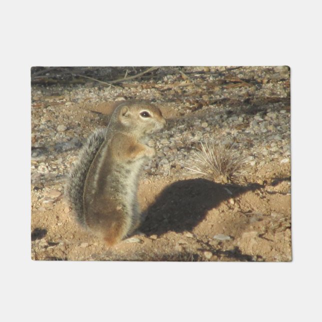 Tapete Harris' Antelope Squirrel (Frente)