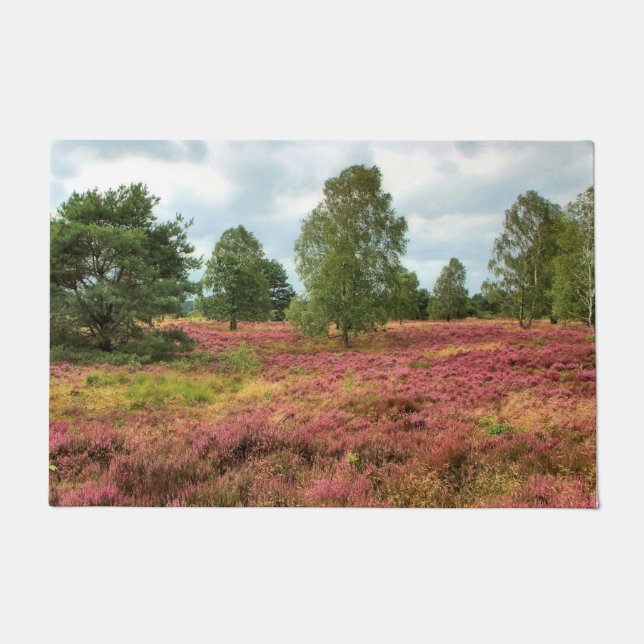 Tapete Heidebäume (Frente)