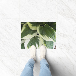 Tapete Hosta Plant Floral Variegada