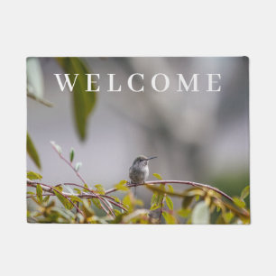 Tapete Hummingbird 3346