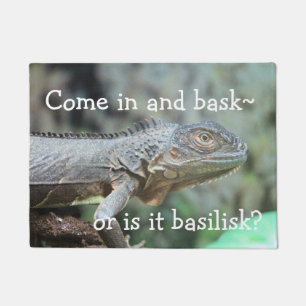 Tapete Iguana Vermelha