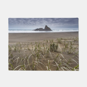 Tapete Ilha da praia   Panatahi de Karekare, costa oeste