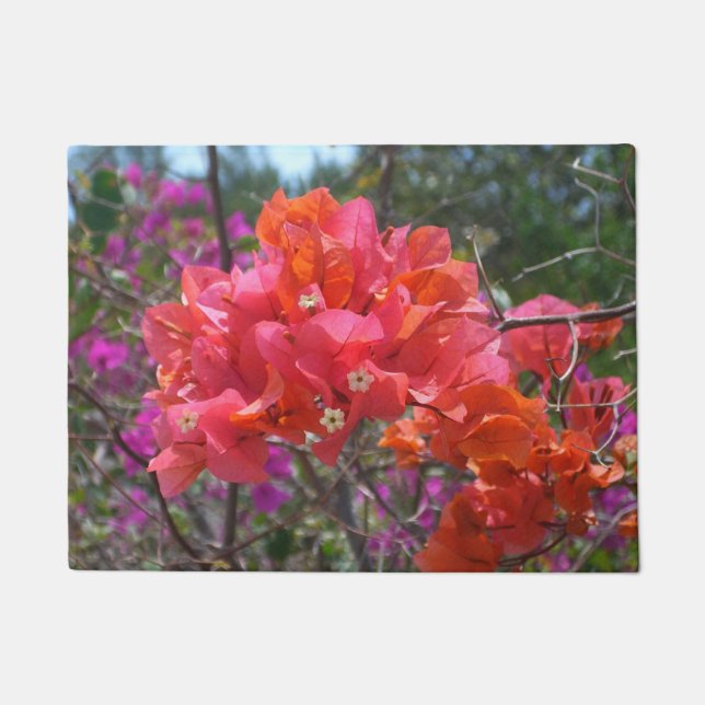 Tapete Ilha Tropical Rosa Bougainvillea Floral (Frente)