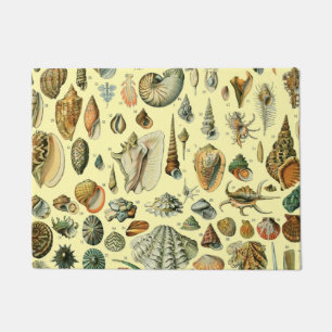 Tapete Impressão de Conchas Vintage Adolphe Millot Costei