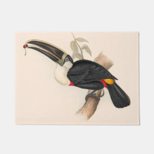 Tapete Impressão do Tucano-de-bico-preto de Cuvier: Ave T