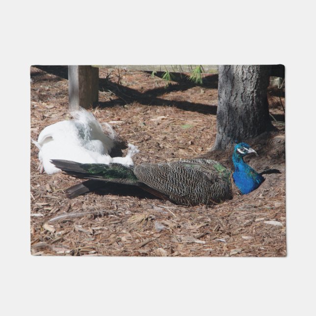 Tapete Indian Blue & White Pheasants door mat (Frente)