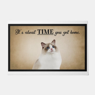 Tapete Já era hora de você ter um gato americano em casa