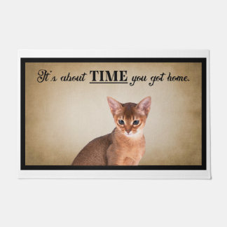 Tapete Já era hora de você ter um gato americano em casa
