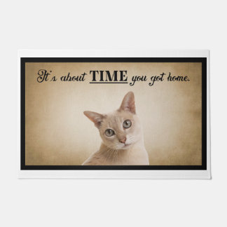 Tapete Já era hora de você ter um gato americano em casa