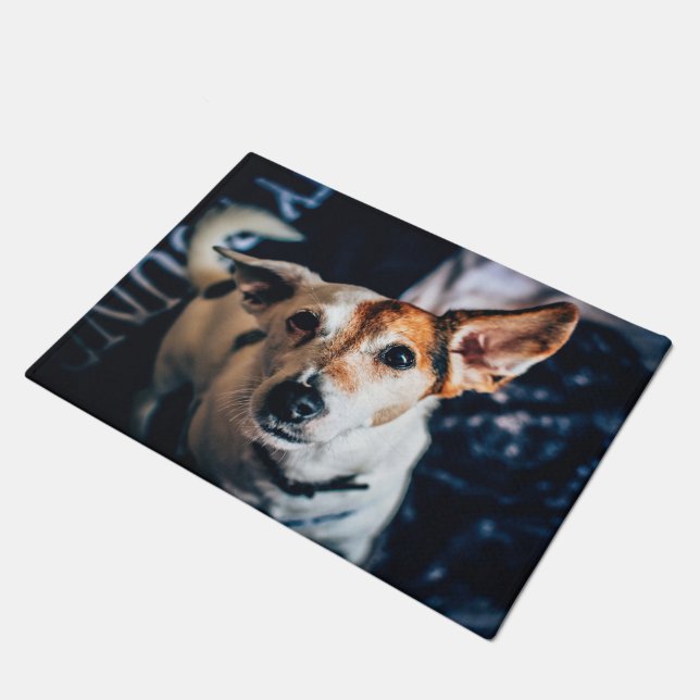 Tapete Jack Russell Terrier Doormat (Inclinado)