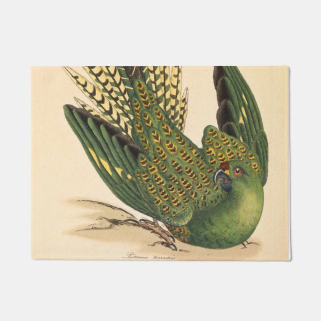 Tapete James Sowerby Ground Parrot, Psittacus terrestris (Frente)