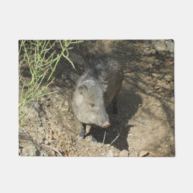 Tapete Javelina (Frente)