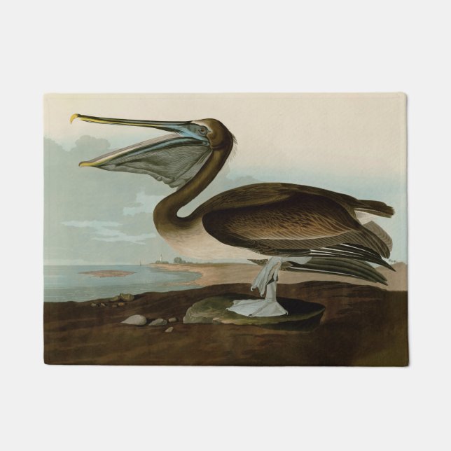 Tapete John James Audubon Brown Pelican Trabalho de arte  (Frente)