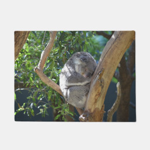 Tapete Koala do sono