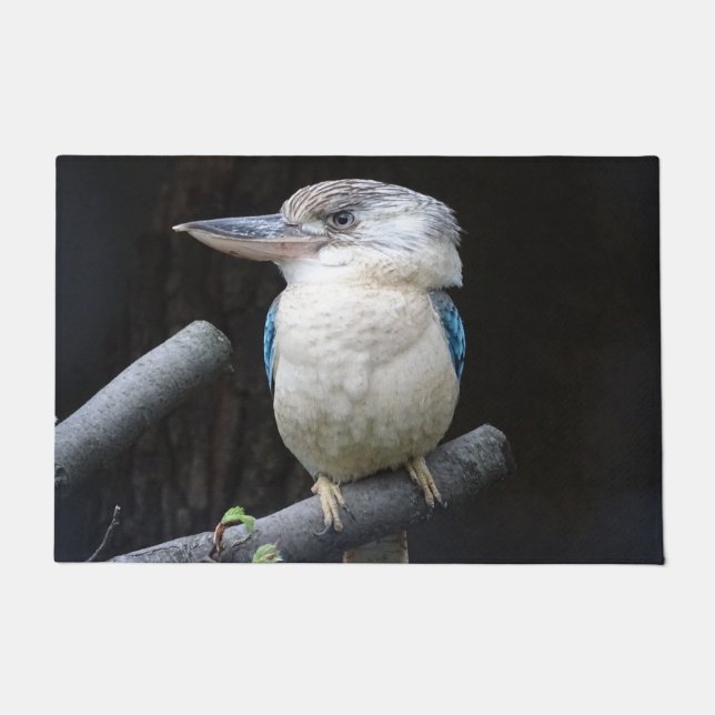Tapete Kookaburra de asa azul (Frente)