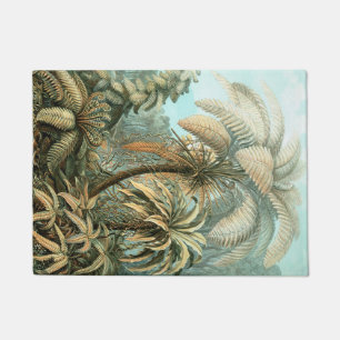 Tapete Kunstformen der Nature, Filicinae - Ernst Haeckel