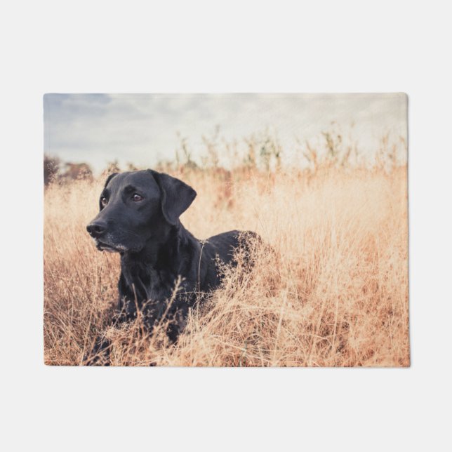 Tapete Labrador Preto De Grama Seca (Frente)