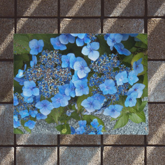Tapete Lacecap Hydrangea Floral