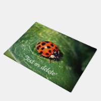 Ladybug No Folha Fechar Personalizado