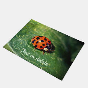Tapete Ladybug No Folha Fechar Personalizado 