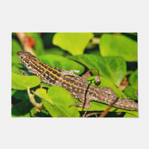Tapete Lagarto de parede italiano