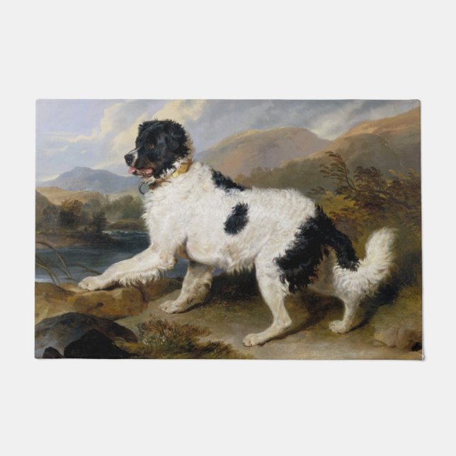 Tapete Landseer Newfoundland Dog (Black and White Animal) (Frente)