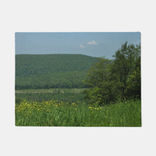 Tapete Laurel Highlands Pennsylvania Summer Photoics