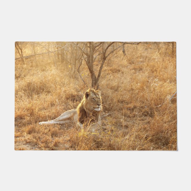 Tapete Leão (Frente)