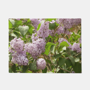 Tapete Lilac Bush Lindas Flores de primavera Roxas