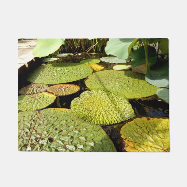 Tapete Lily Pads Porta Mat (Frente)