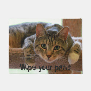 Tapete Limpe sua cara do gato das patas