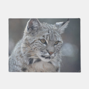 Tapete Lince surpreendente