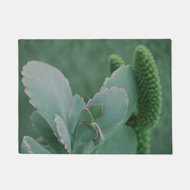 Tapete Linda Fotografia da Planta do Deserto (Frente)