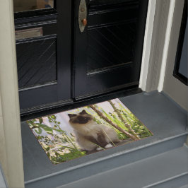 Tapete Linda Ragdoll