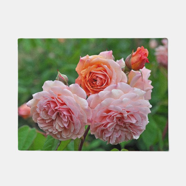 Tapete Lindas rosas rosa (Frente)