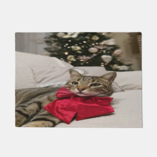 Tapete Lindo Gato de Natal