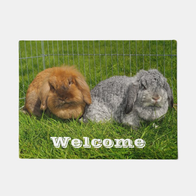 Tapete Lionhead Holland Mini Lop Bunny Rabbit (Frente)