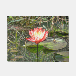 Tapete Lírio da melancia