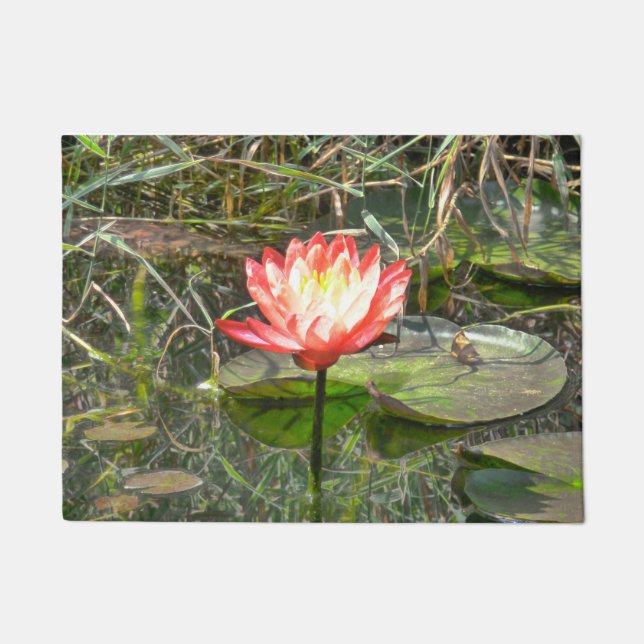 Tapete Lírio da melancia (Frente)