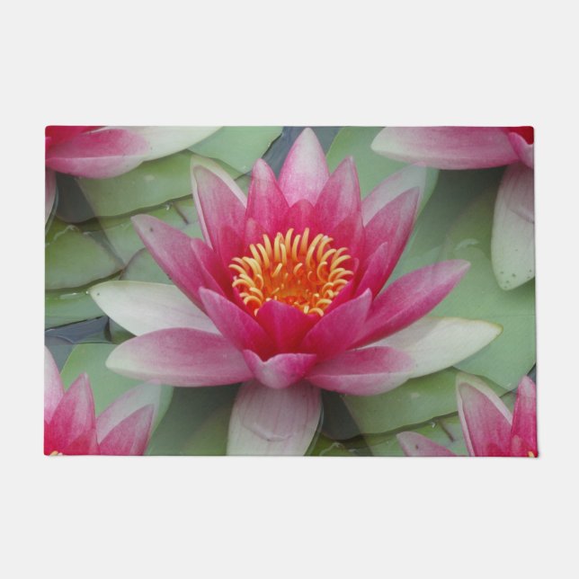 Tapete Lírio de Água Rosa (Frente)
