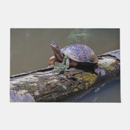 Tapete Lizard e River Turtle em Tortuguero - Costa Rica