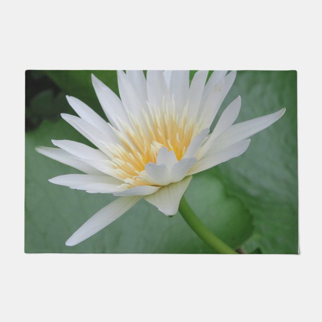 Tapete Lotus, Namaste, meditação, zen, compras, planta, n (Frente)