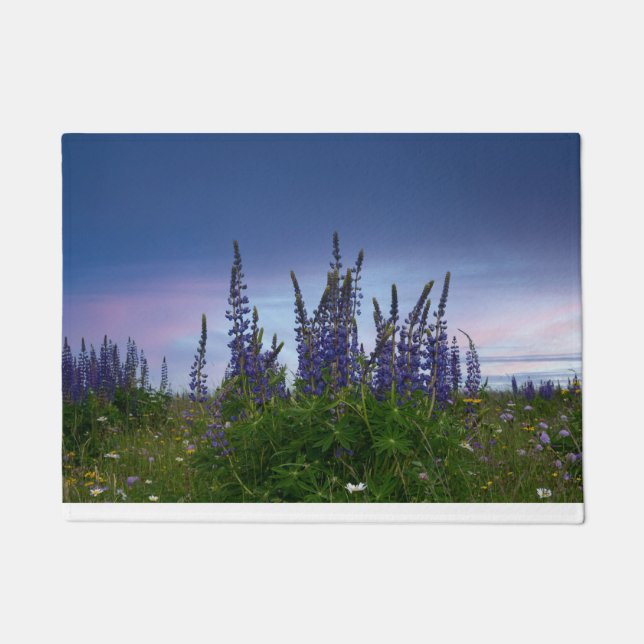Tapete Lupins   (Frente)