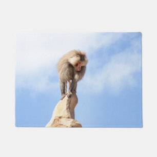 Tapete Macaco babuíno no topo de uma montanha