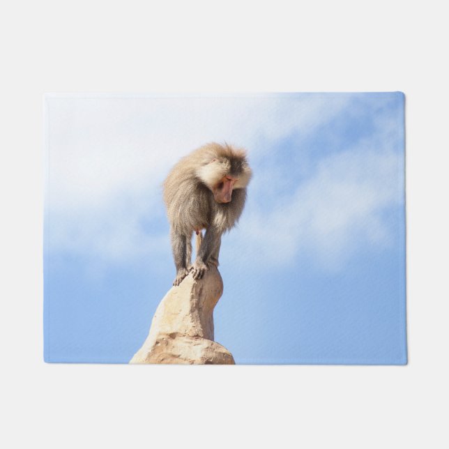 Tapete Macaco babuíno no topo de uma montanha (Frente)
