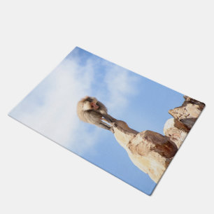 Tapete Macaco babuíno no topo de uma montanha