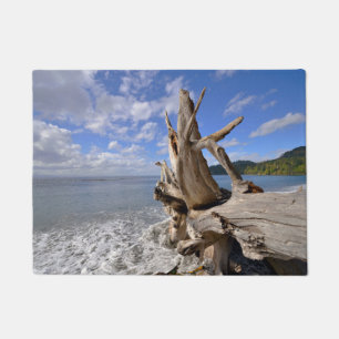 Tapete Madeira lançada costa na linha costeira de praia