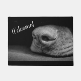 Tapete Magyar Vizsla cães Türmatte