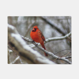 Tapete Male Cardinal
