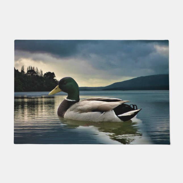 Tapete Mallard Duck No Lago (Frente)